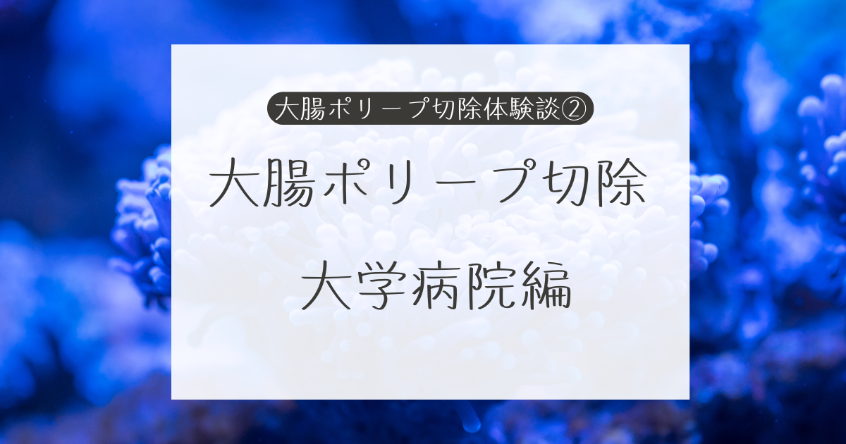 大腸ポリープ切除　大学病院編